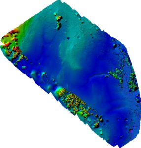 Colored Drone Elevation map