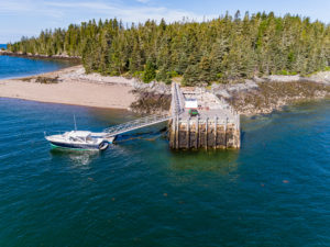 Dogfish Island