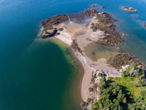 Dogfish Island