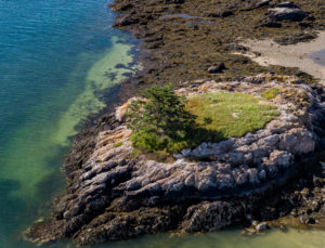 Elephant Island