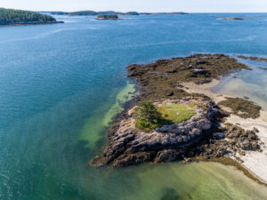 Elephant Island