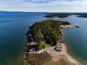 Dogfish Island